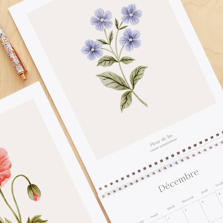Marie-Lise Illustration - Wholesale Calendar - Calendrier 2026 - Douceur Florale7