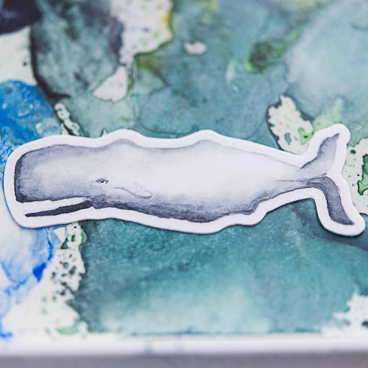 Finding Silver Pennies - Wholesale Sticker - Whale Sticker