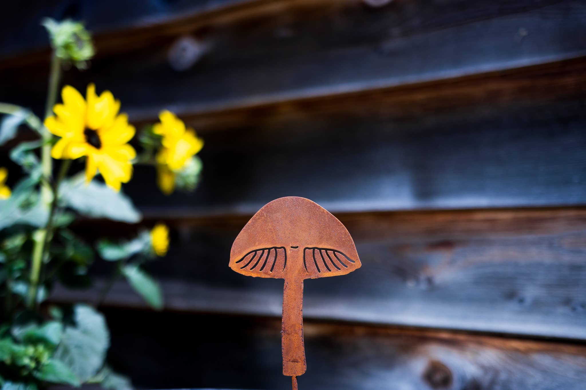 Elegant Garden Design - Vente Piquets de jardin/pelouse - Piques à champignons - Lot de cinq8