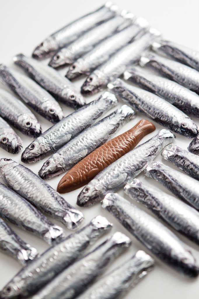 Cluizel USA - Wholesale Chocolate - Sardines In A Net, 62