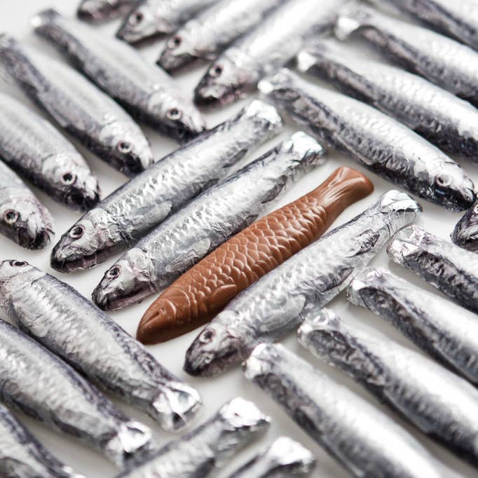 Cluizel USA - Wholesale Chocolate - Sardines In A Net, 62