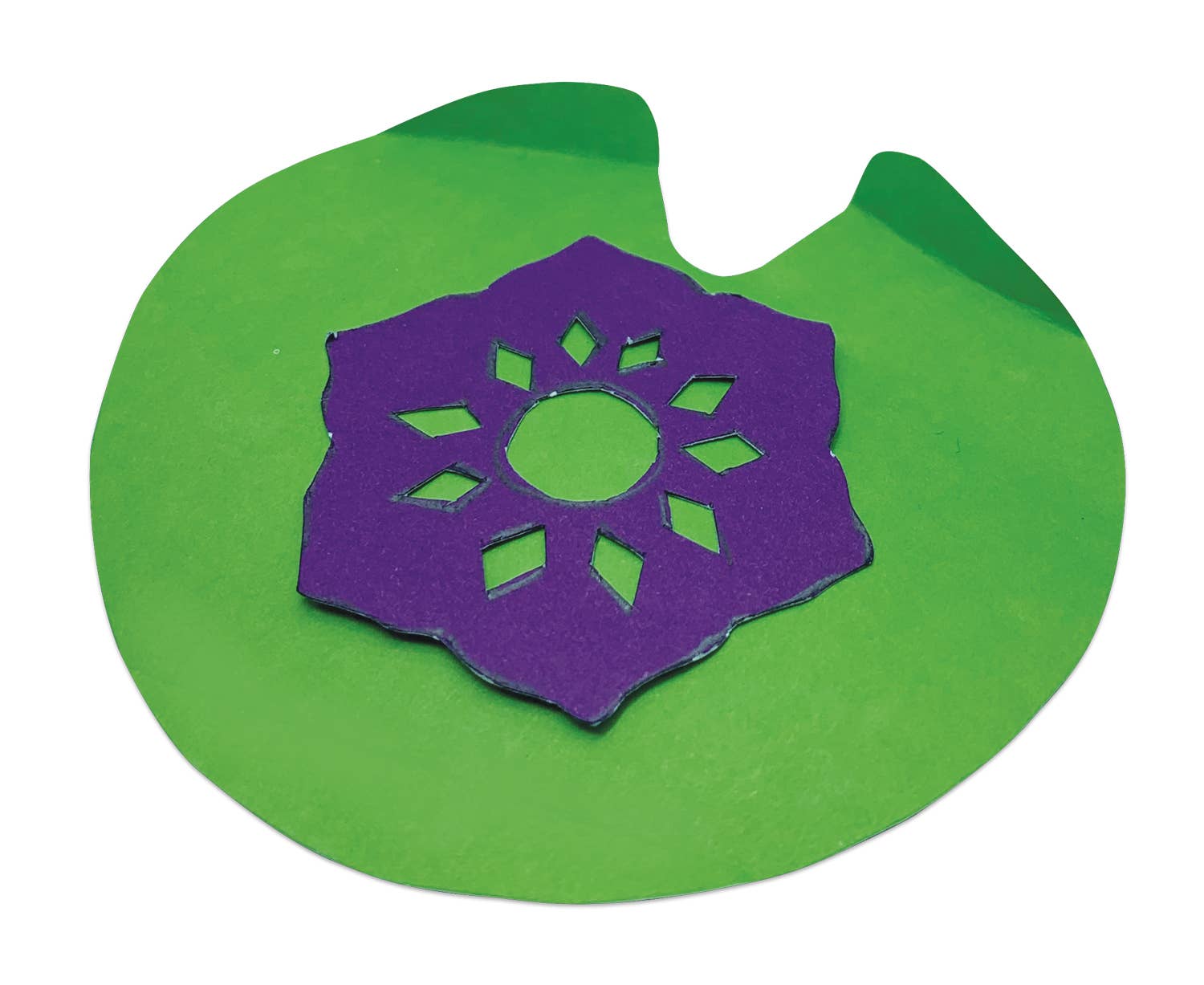 Roylco - Wholesale DIY Craft Kit - Kids - Jar-It Crafts: Water Garden Kit for Kids3