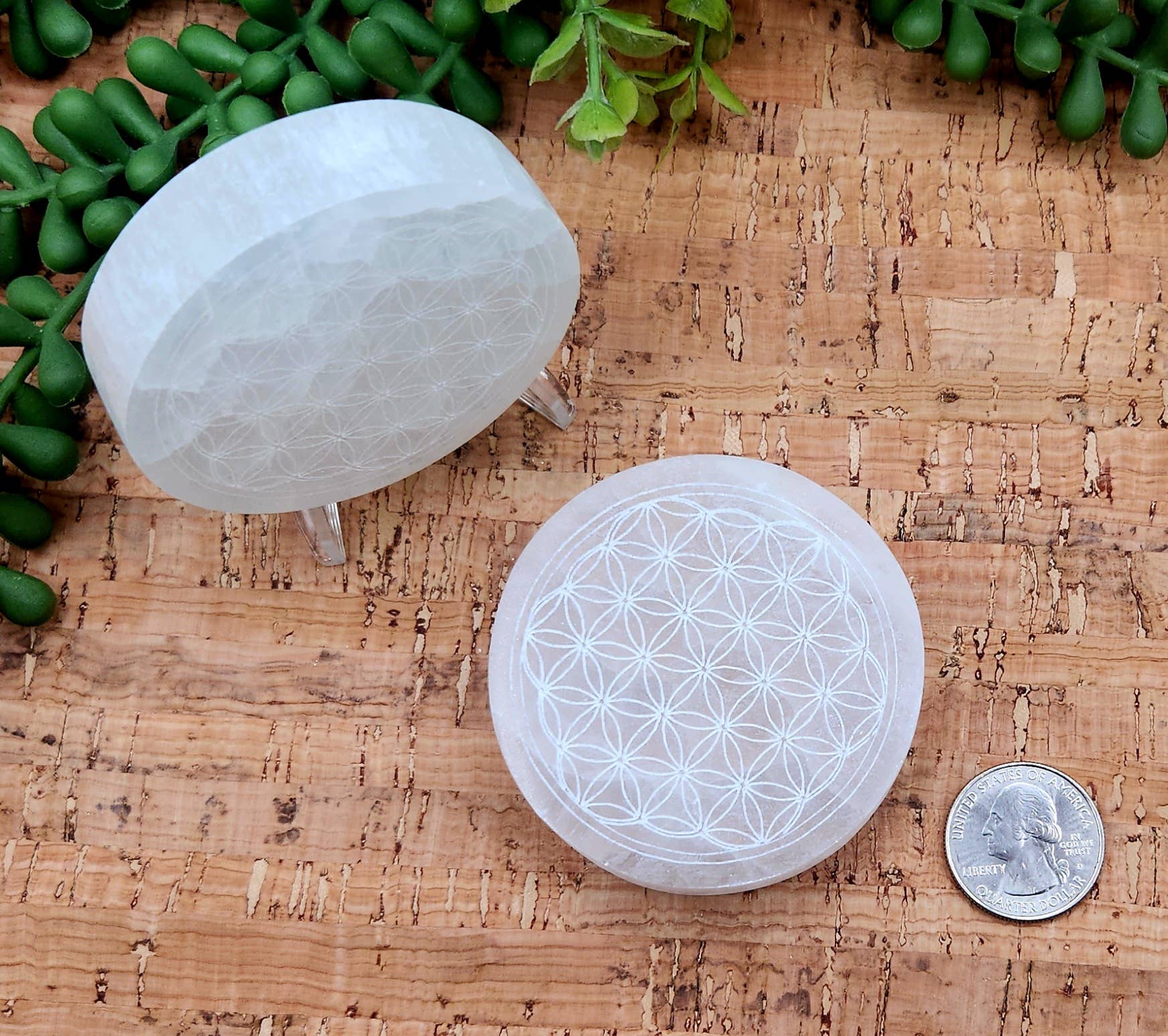 Meraki Gemstones - Wholesale Spiritual Stone/Crystal - Selenite Charging Plate/Coaster Round - Flower of Life 6-7cm5