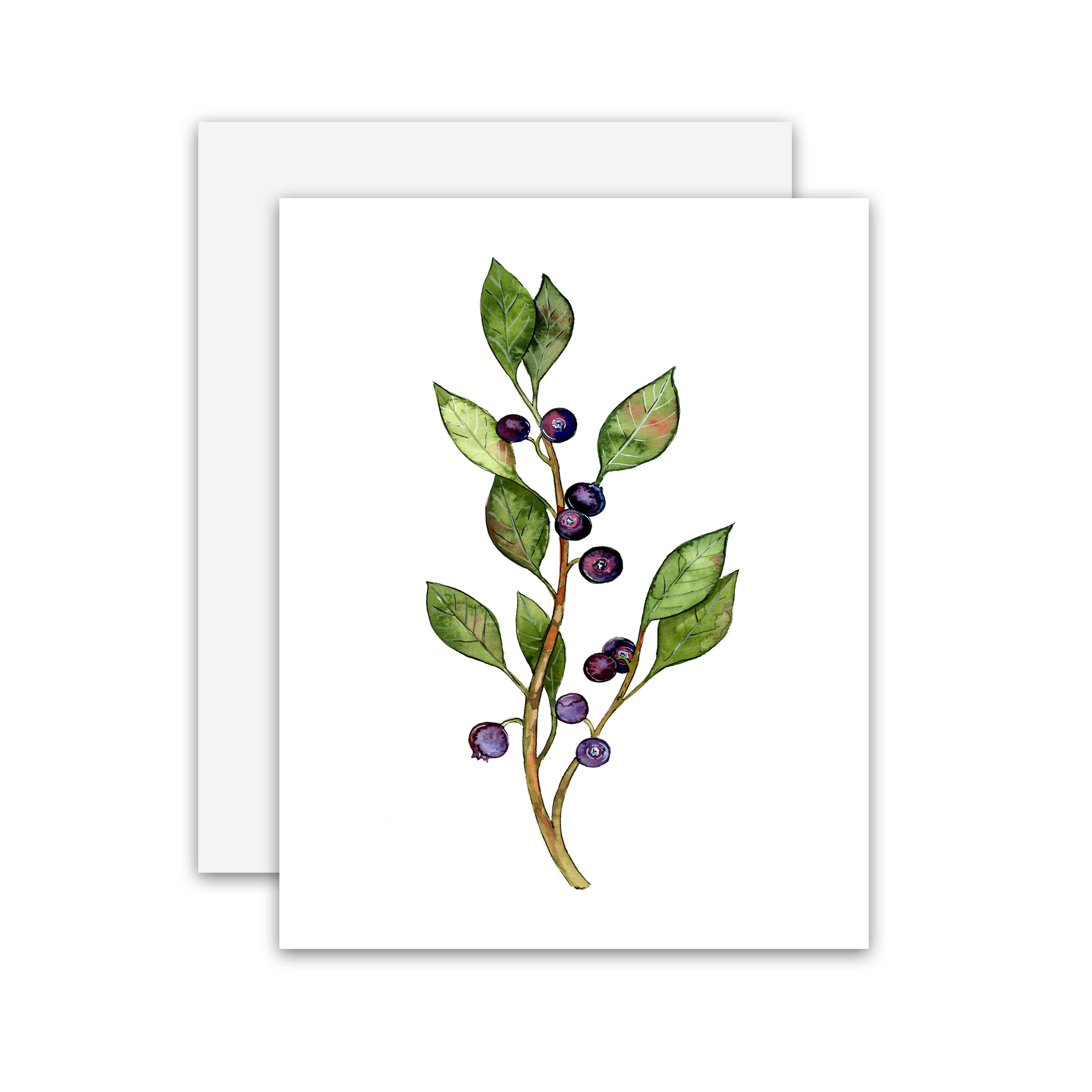 Jennie Kilcup Watercolors - Wholesale Everyday Greeting Card - Huckleberry Card