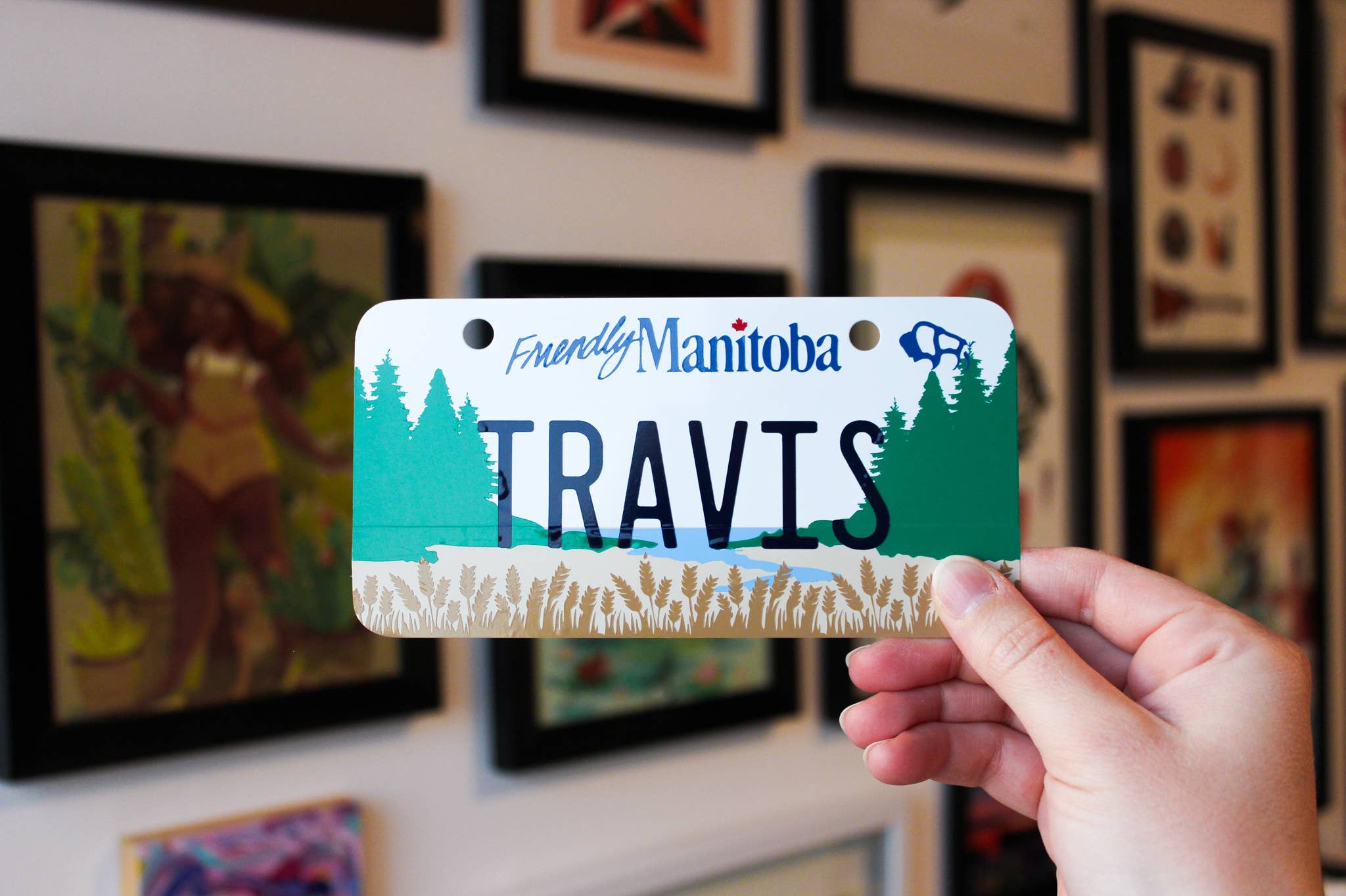 Betina C Koche - Wholesale Sign - Custom Canadian License Plate | Real Size6