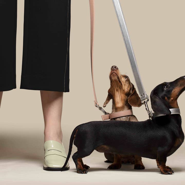 Skylos Collective - Wholesale Pet Poop Bag Dispenser - Vegan Leather Dog Poop Bag Holder2