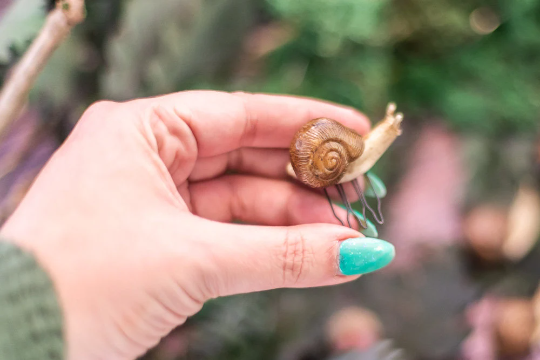 Costurero Real – Großhandel Haarnadeln – Schnecken-Haarspangen im Wald-Stil – märchenhafte Hochzeits-Accessoires von goblincor1