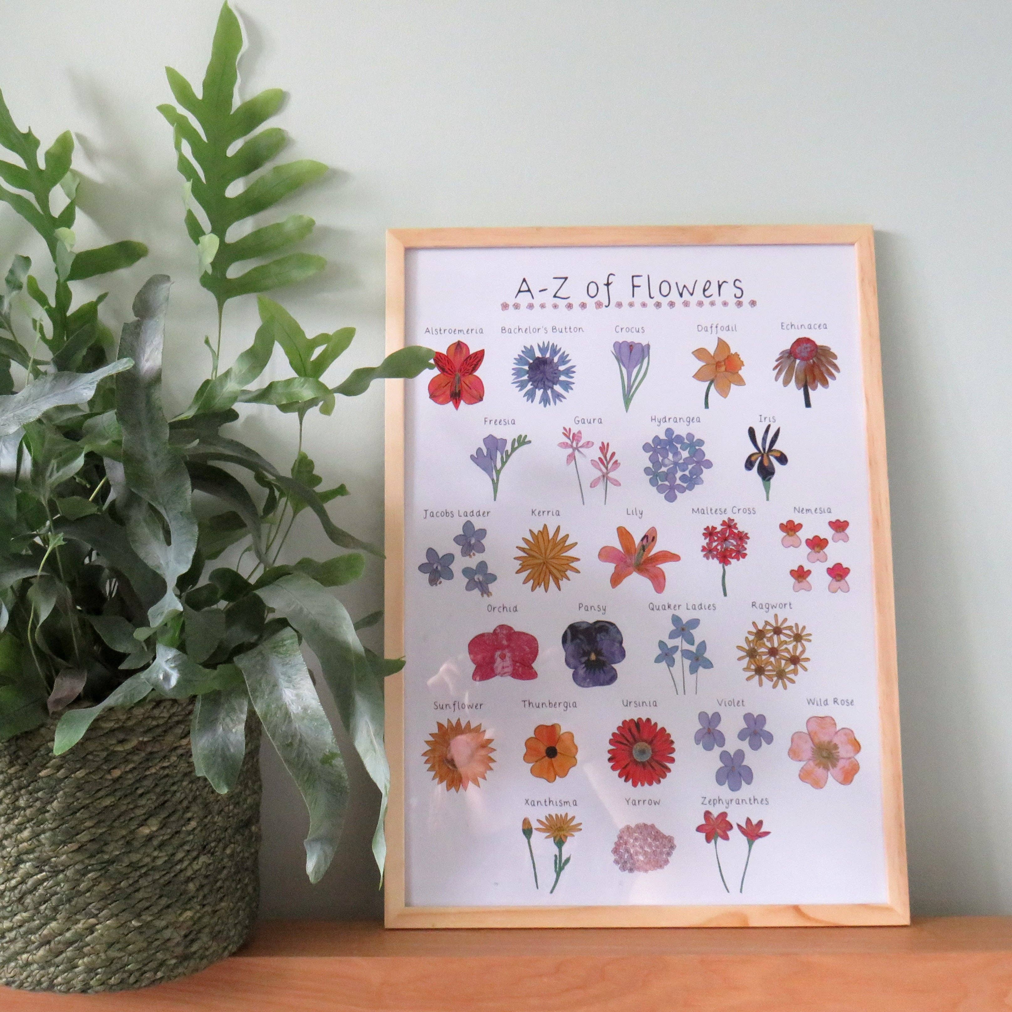 Kathryn Churn Designs – Großhandel Kunstdruck – A-Z des Blumendrucks in A4 und A34