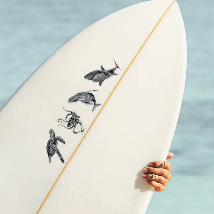 Pen On Paper Co - Wholesale Sticker - Wolf Sticker - Dishwasher Safe12