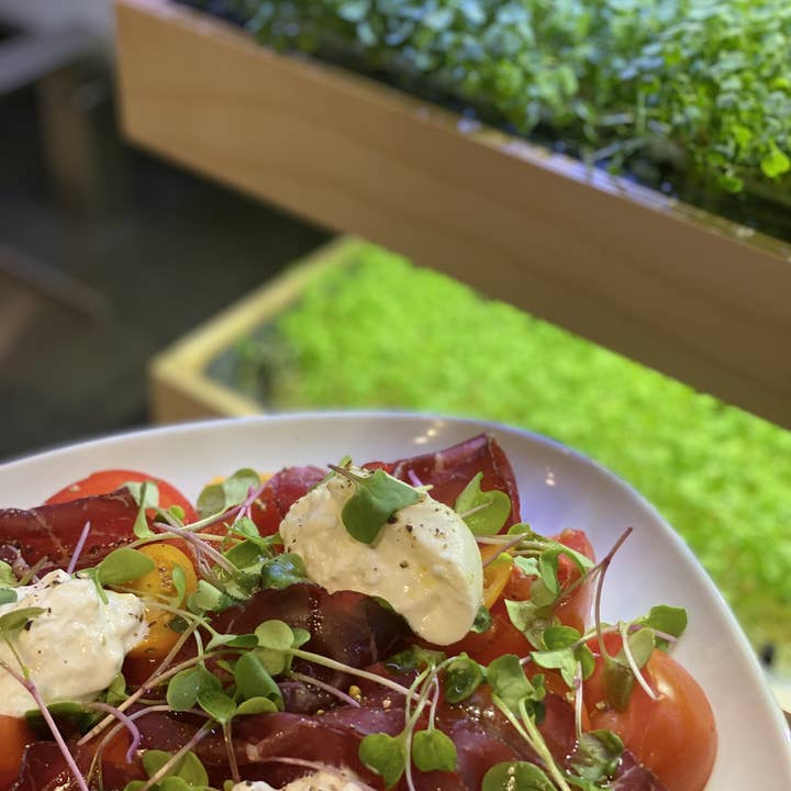 Caulys - Wholesale Plant Pot - Caulys Home - DUO4