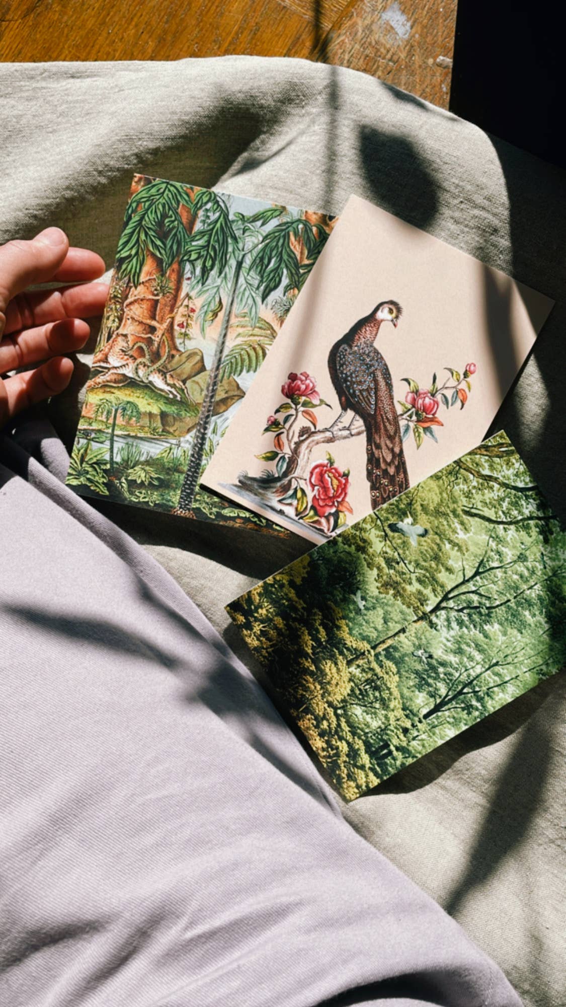 30x40 - Wholesale Postcard - Golden Age Postcard4