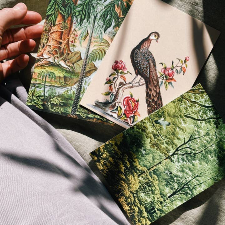 30x40 - Wholesale Postcard - Golden Age Postcard4