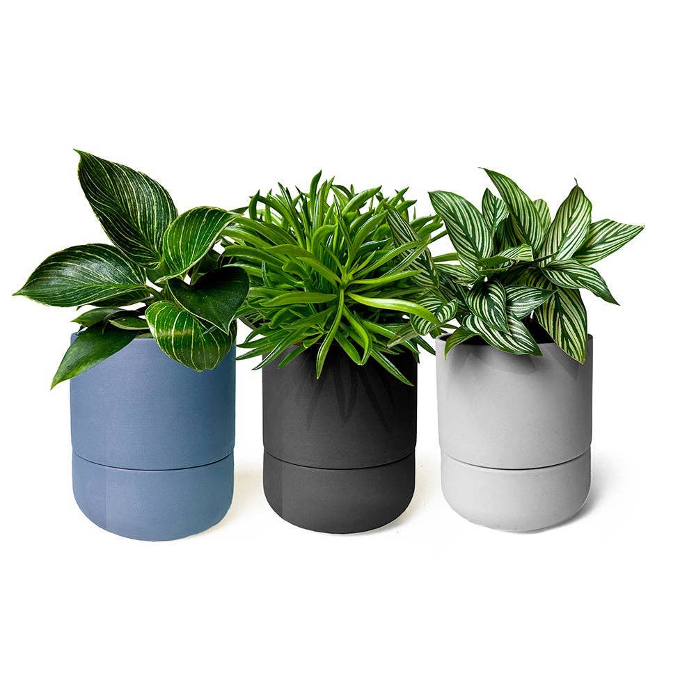 Chive Canada - Wholesale Plant Pot - Ryan Self-Watering Plant Pots Indoor Planters12