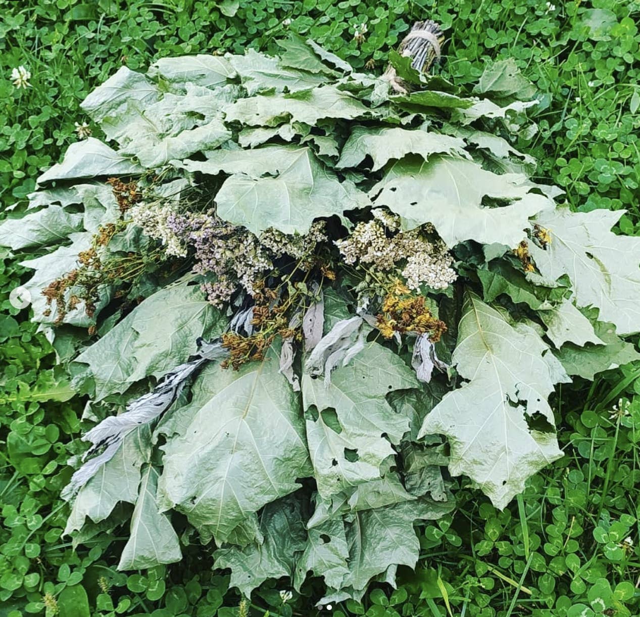 SUNROZ – wholesale Kroppsmassage – 4-pack ukrainska bastukvastar för massage och SPA1