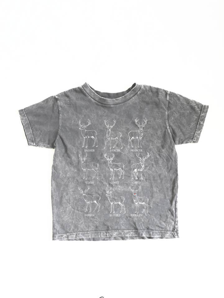SANTA REINDEER'S Toddler Washed Graphic Top for wholesale by OAT COLLECTIVE
