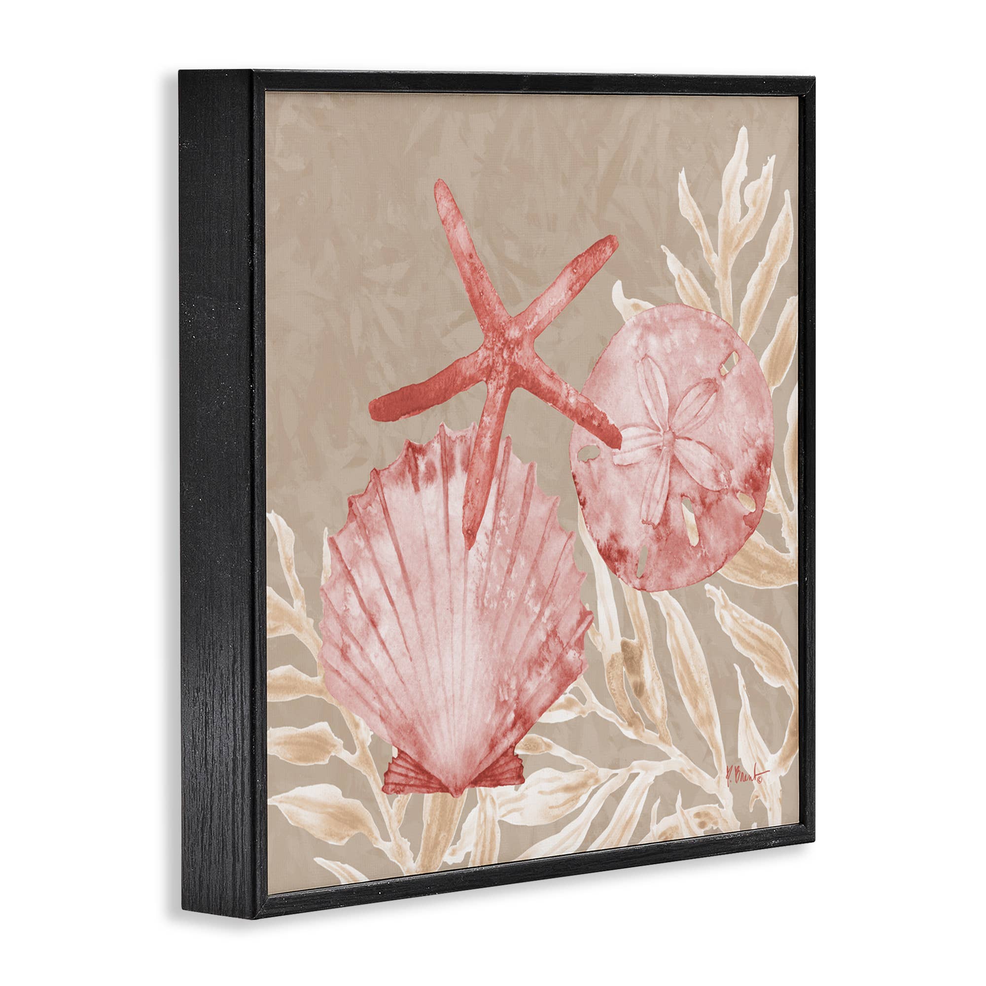 Stupell Industries - Vendita all'ingrosso Cartello da parete - Conchiglie di Tampico e Stelle Marine - Arte da Parete Incorniciata13