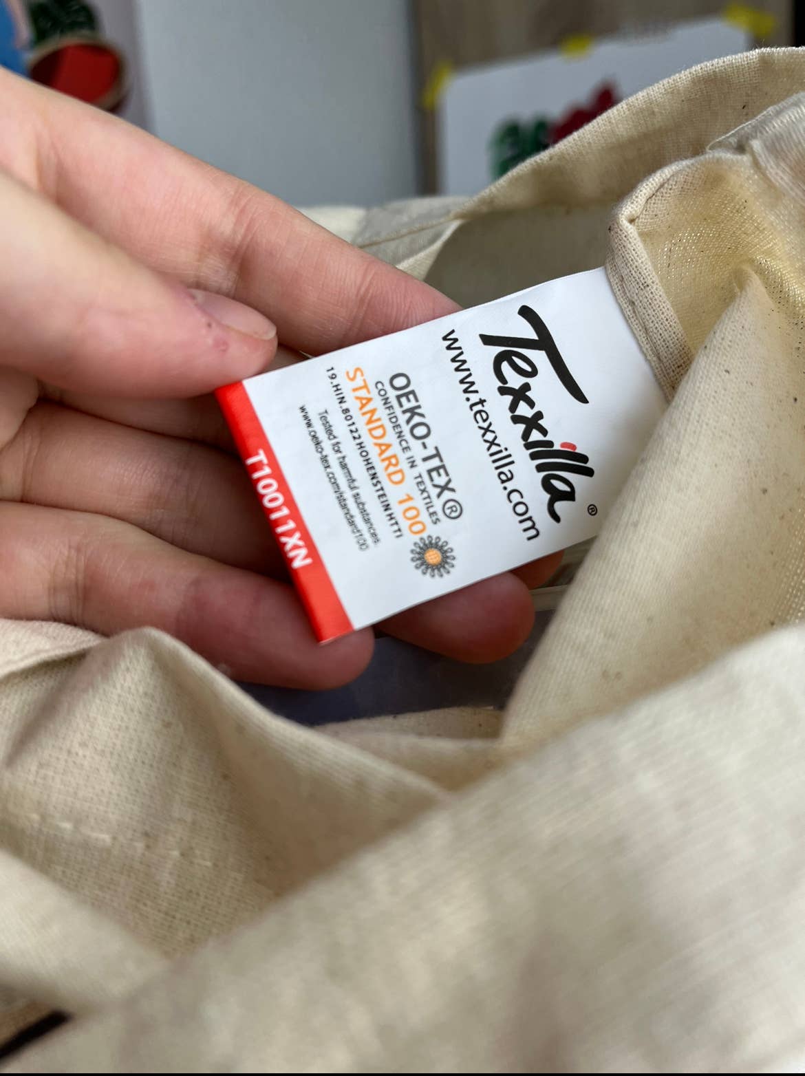 plantyintroverts - Wholesale Tote Bag - Women's - Cloth bag - Plantlady Jamy, bag Monstera, plants3