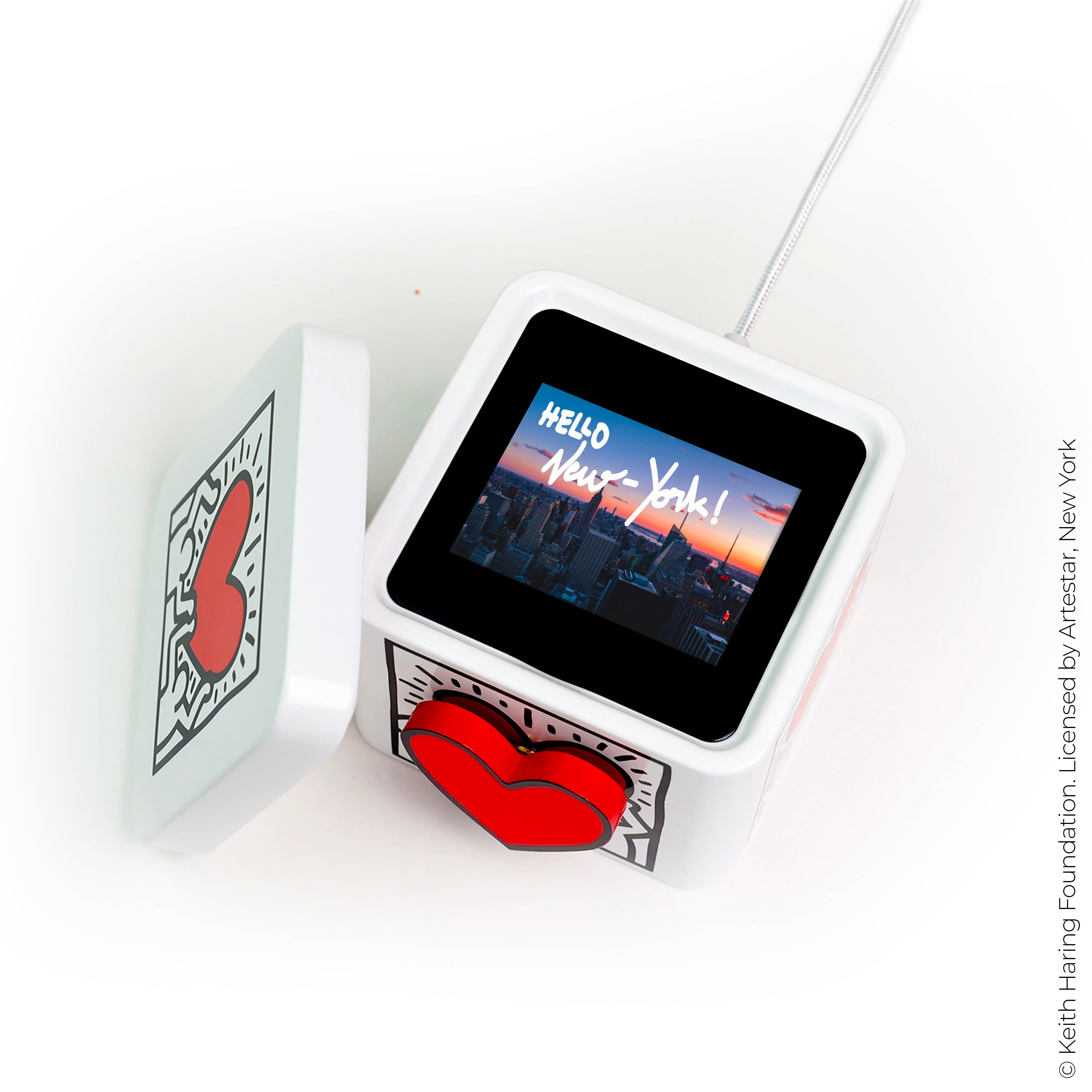 Lovebox (Europe) - Vente Boîtes décoratives - Lovebox Keith Haring - Le meilleur cadeau de la Saint-Valentin 20239