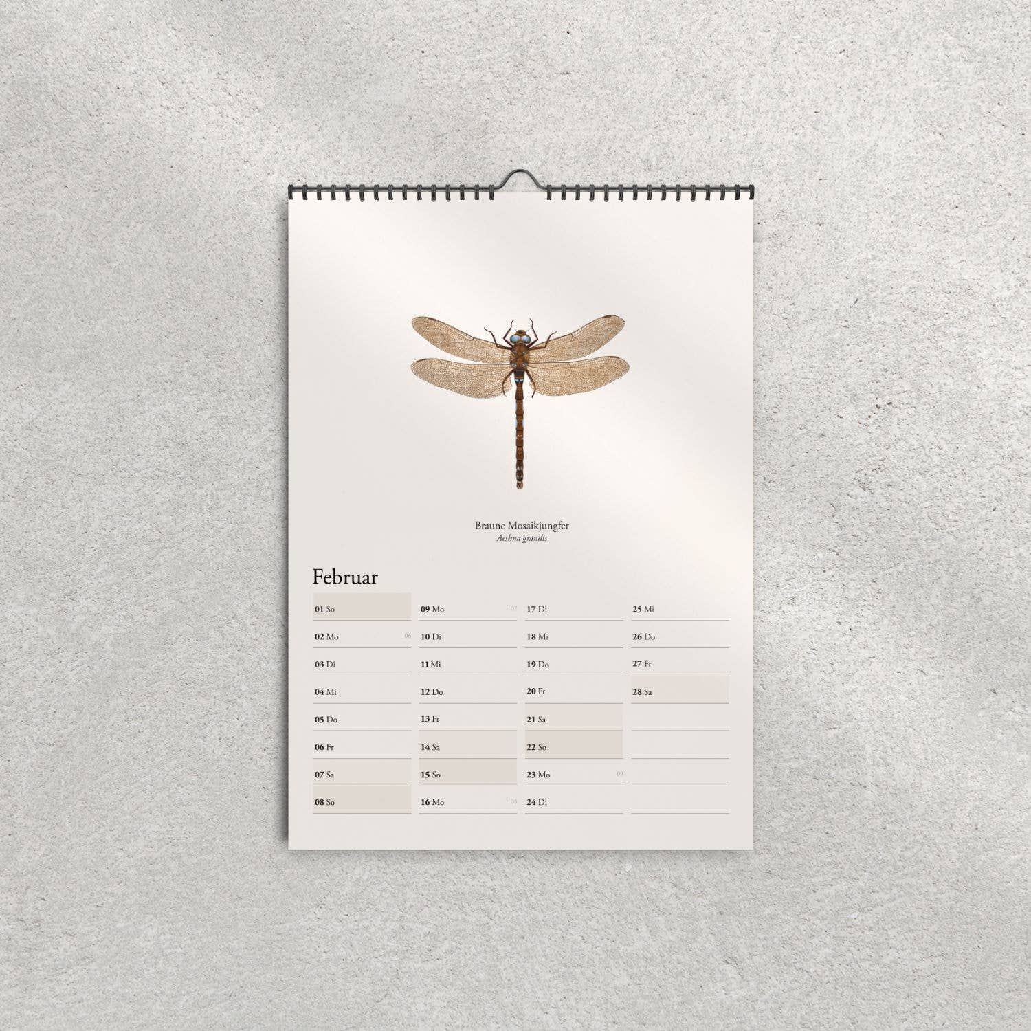 Terillu - Wholesale Calendar - Wall calendar 2026, calendar native dragonflies in A3 format2