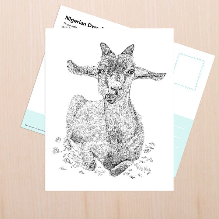 Art de la chèvre naine pour la vente par Coy Ink Studio