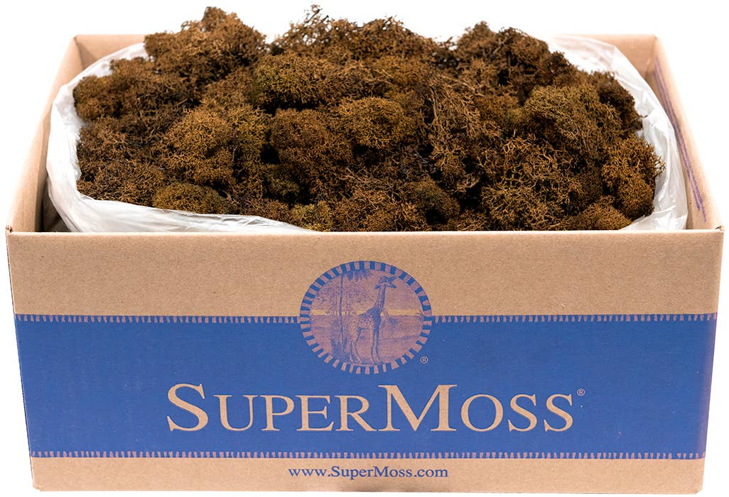 SuperMoss - Wholesale Dried/Pressed Flowers - Reindeer Moss Preserved 3lb Bulk Box12