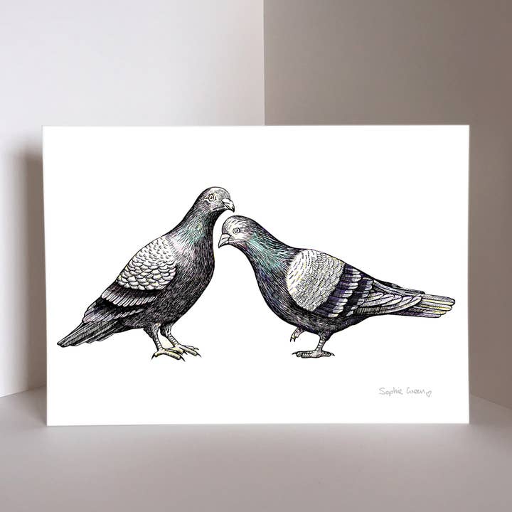 Pigeons Print for wholesale by Sophie Green Artist