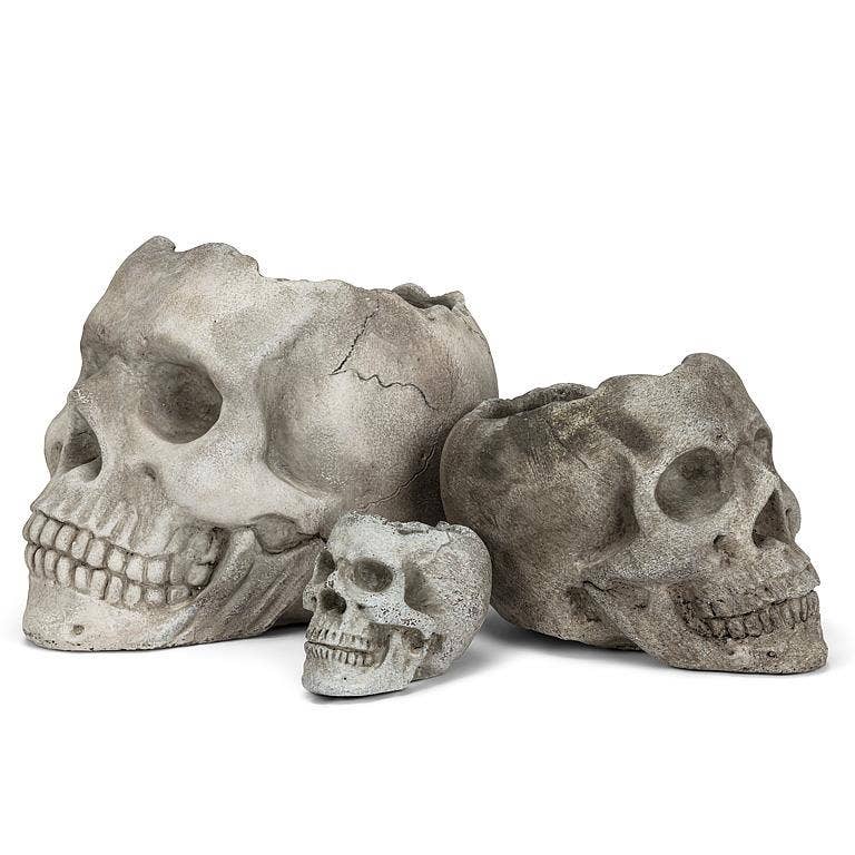 Abbott – Engroshandel Plantekrukke – Lg Skull Planter-5"H-9708