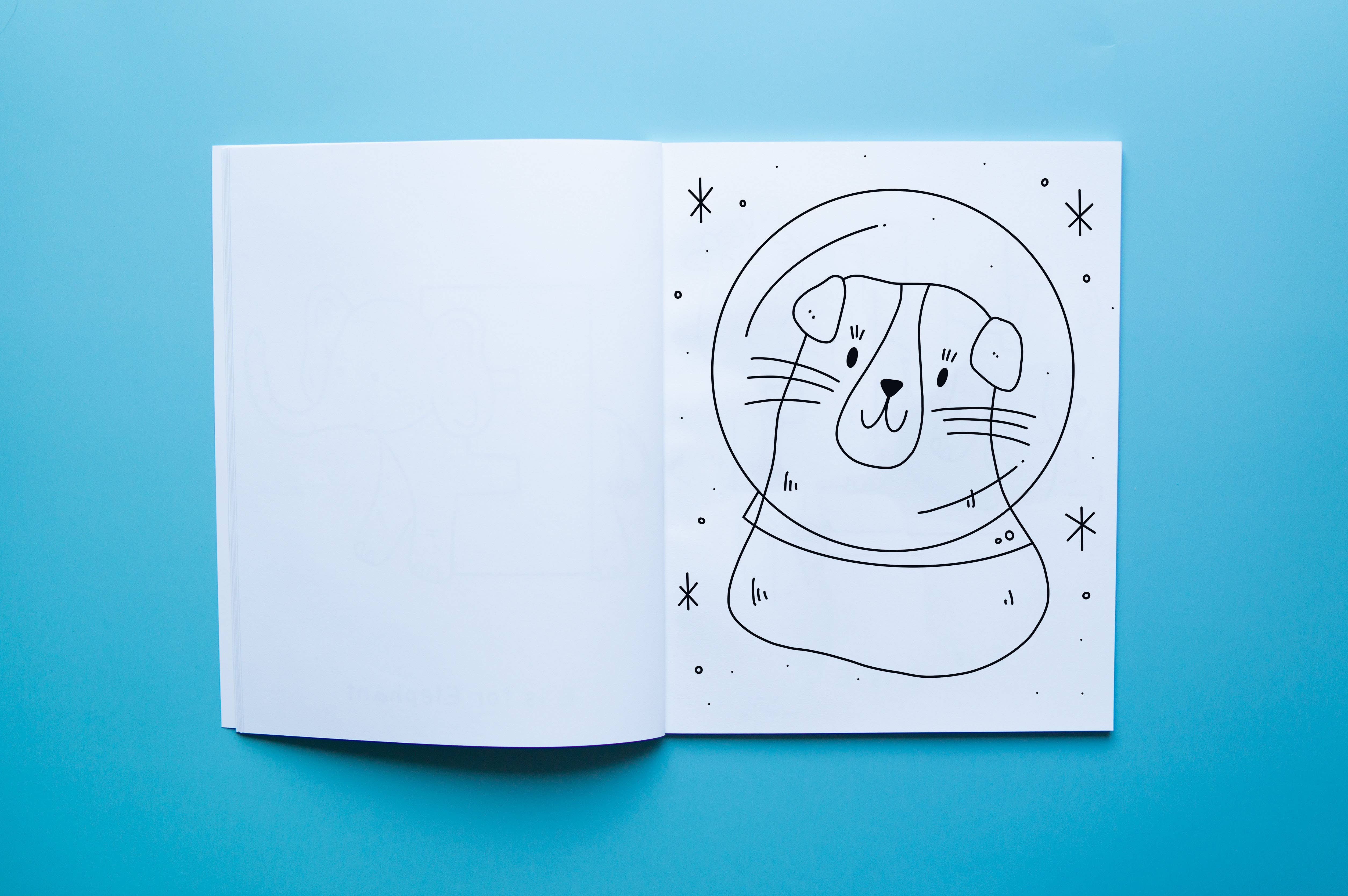 Brown Paper Fox – Livro para colorir - Crianças e bebés por atacado – Gatos no Espaço | Livro de Colorir | Capa Mole | 2ª Edição1