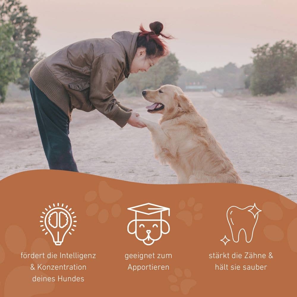 WILDFANG – Bola para cão - Cão por atacado – Bola de borracha para cachorro “Fabius” – 100% borracha natural4