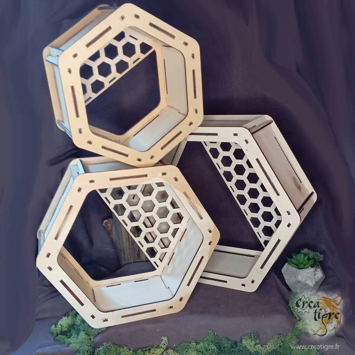 Meuble de présentation hexagonal pour la vente par Creatigre