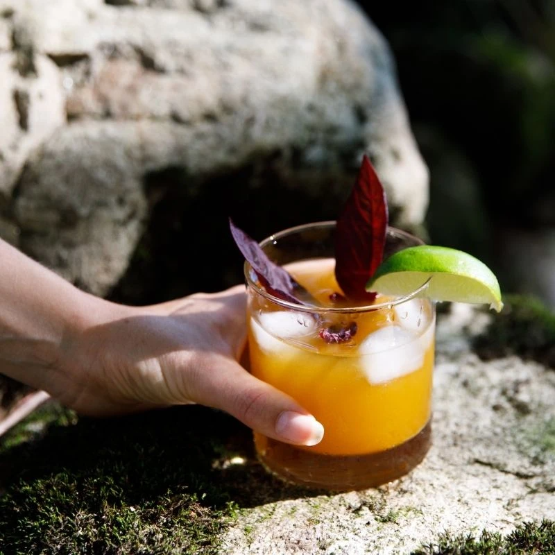 Herbal Revolution Farm + Apothecary - Venta al por mayor Zumos/tónicos saludables - Tónico de Cúrcuma: Vinagre de Sidra de Manzana Crudo con Madre, Apoyo Articular y Digestivo4