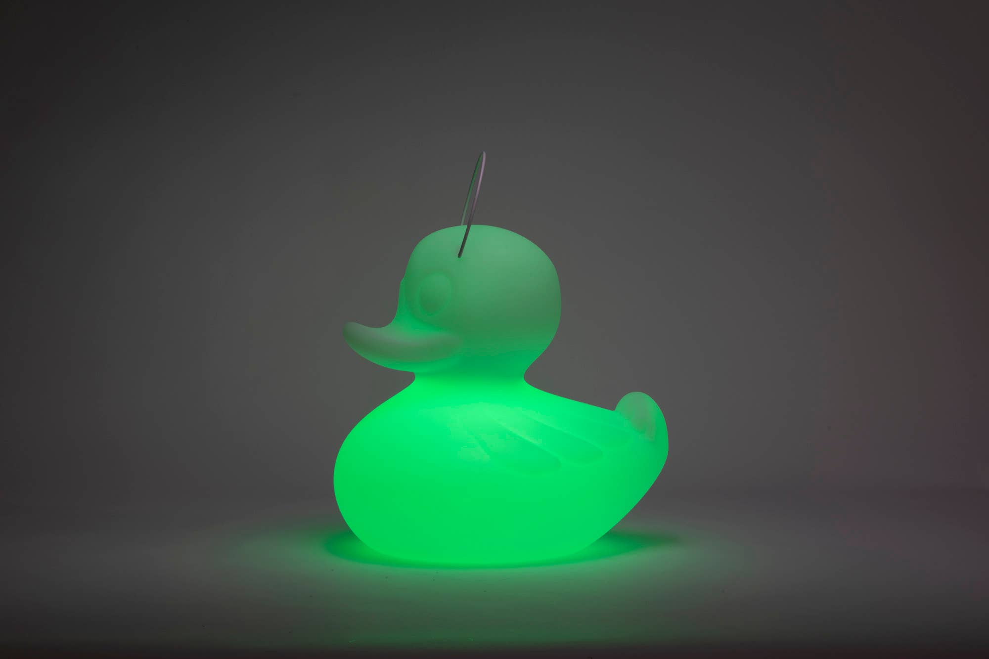 Goodnight Light - Wholesale Accent/Desk Lamp - The Duck Duck Lamp XL 51 cm - floating rechargeable lamp20