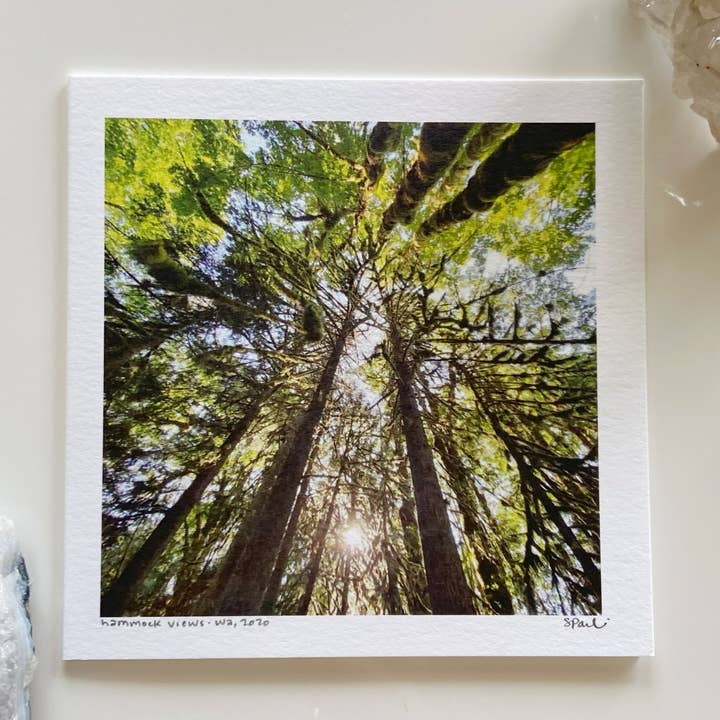 Vues de hamac pour la vente par Earth + Cielo
