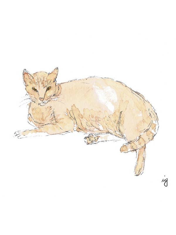 Cat 7 for wholesale by SAS {Seattle Art Studio}