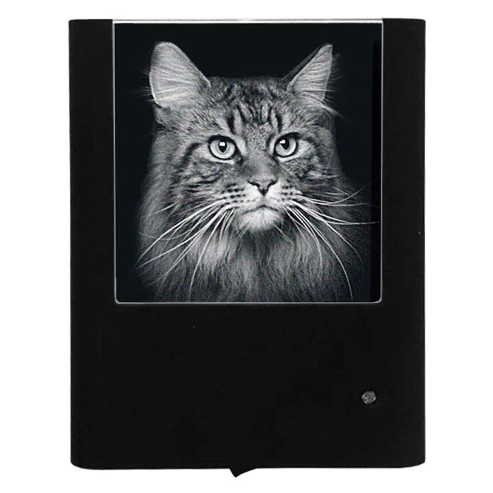 Engraved Maine Coon Cat for wholesale by Nightlight Studio