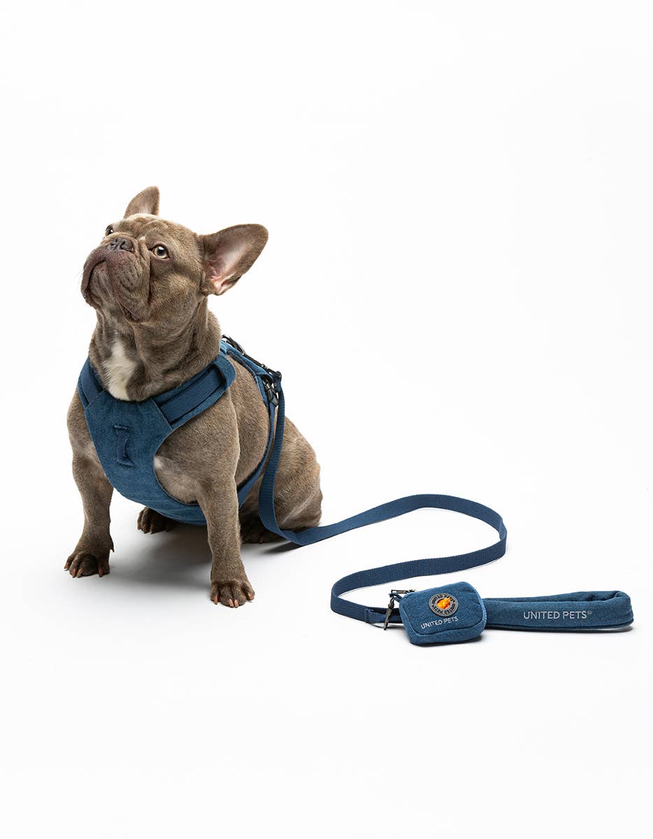 United Pets – Engroshandel Hundesnor - Hund – Hund Jeans Polstret Blød Snor8