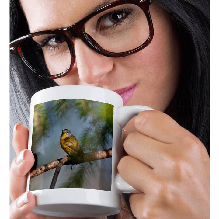 3dRose - Wholesale Coffee Mug - 3dRose, USA, Minnesota, Mendota Heights, Mohican Lane, Nashville Warbler, Mug9