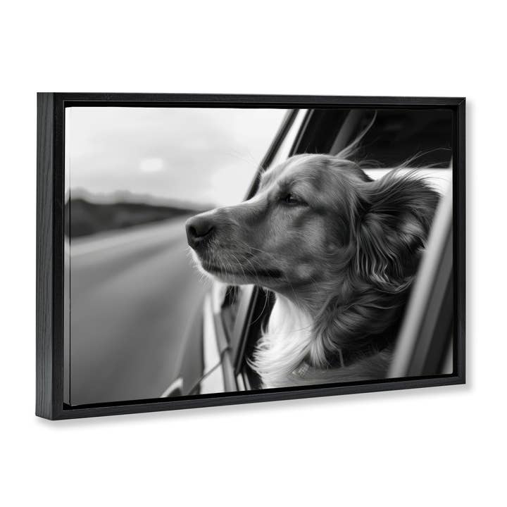 Stupell Industries - Wholesale Wall Sign - Dog Out Car Window - Framed Wall Art19