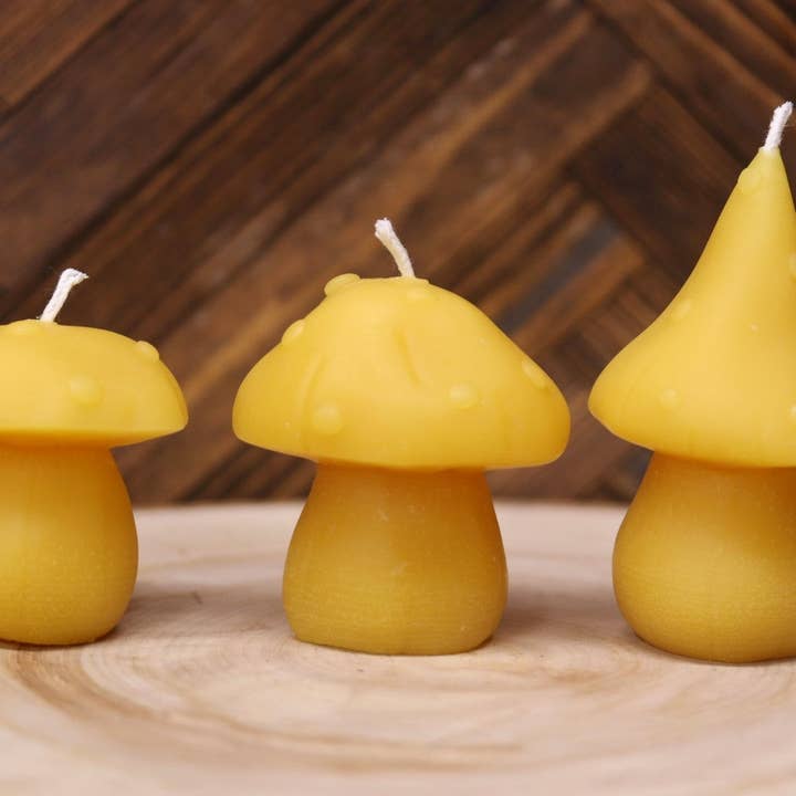 Candele ai funghi per la vendita all'ingrosso da parte di The Bees' Waxy Knees