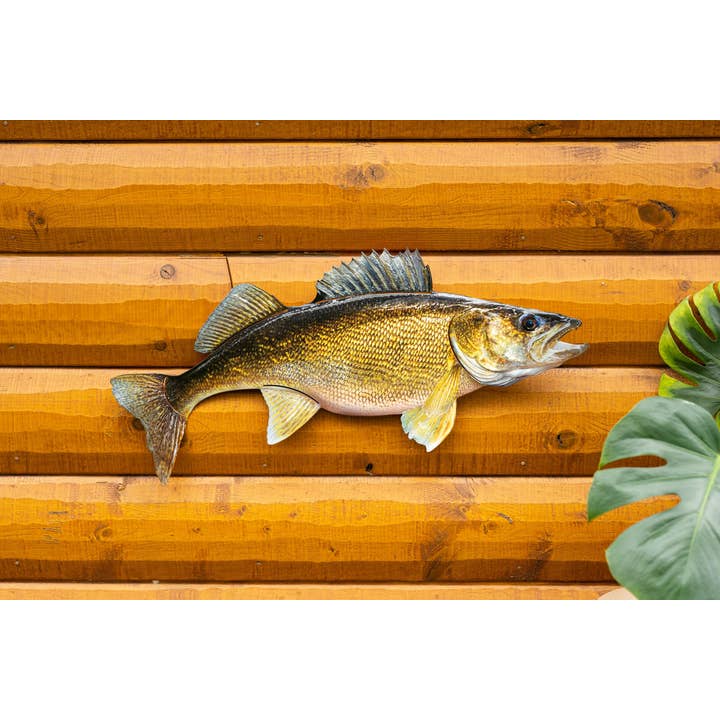 Reelistic Replicas - Wholesale Wall Accent - Walleye Replica Mount - 29 Inch Walleye Replica