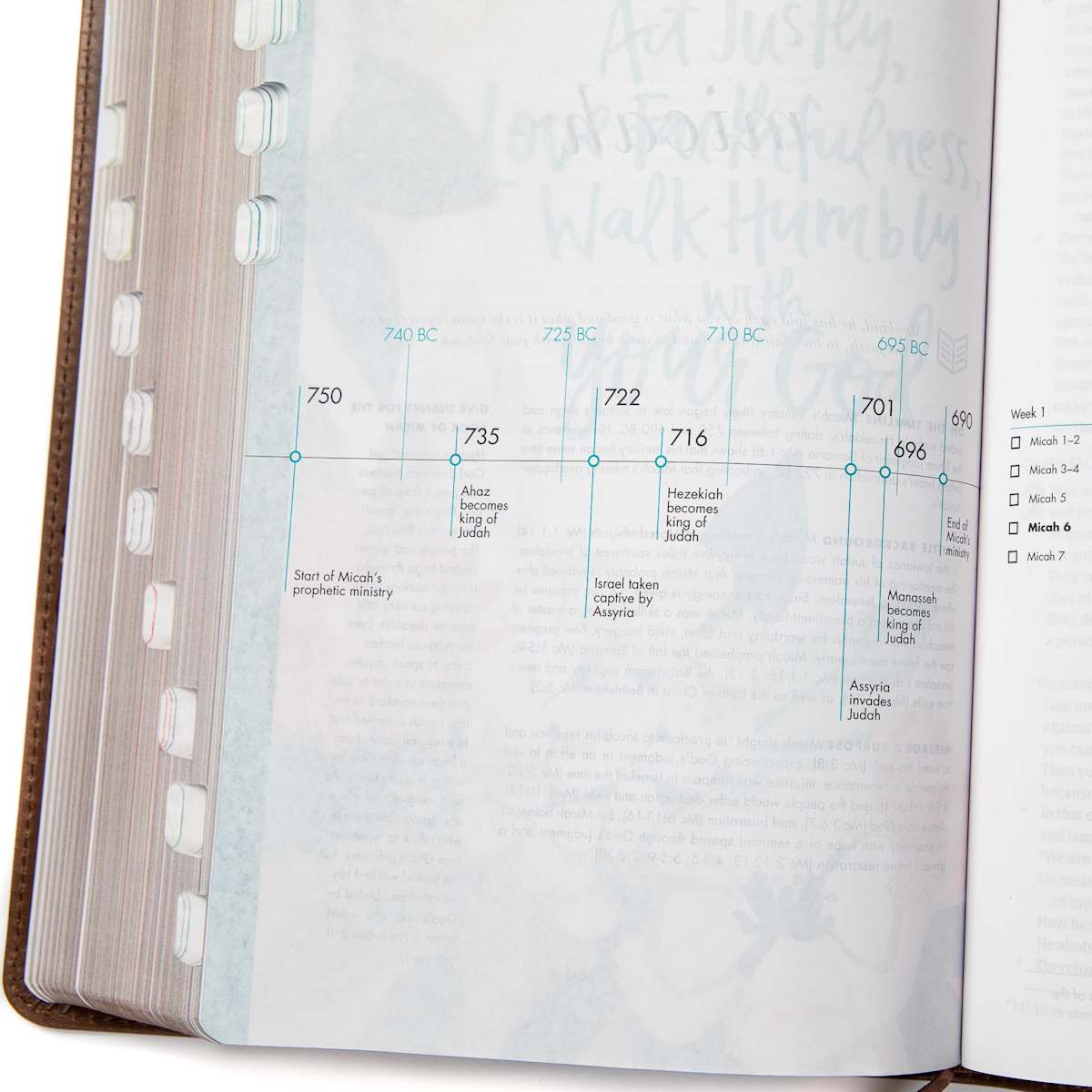 Lifeway - Wholesale Display Book - CSB She Reads Truth Bible, Brown Genuine Leather, Indexed5