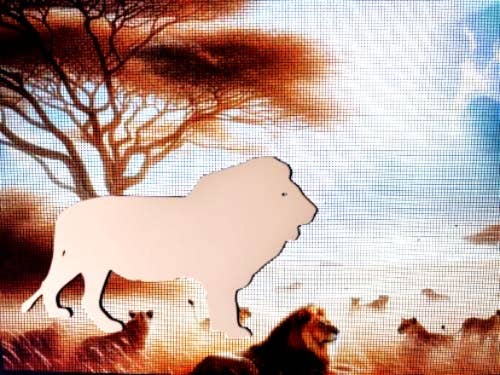 DCentral Magnetics - Wholesale Magnet - DCentral® LION Flexible Vinyl Safety Screen Magnets0