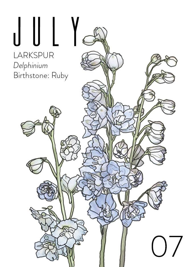 WildFlora - Wholesale Verjaardagskaartje - Groothandel Wenskaarten: Geboortemaand Collectie (set van 12)8