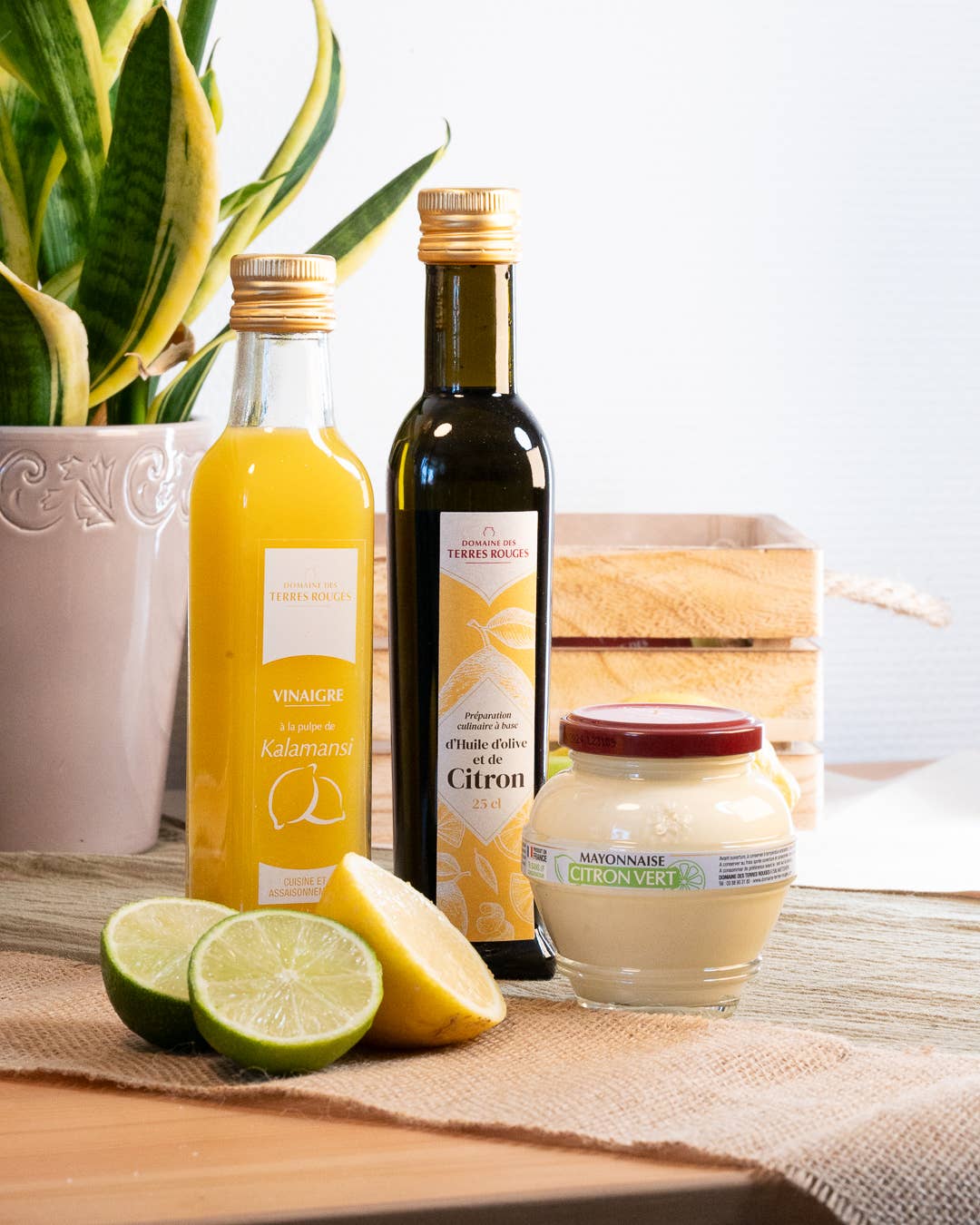 DOMAINE DES TERRES ROUGES - Vente Mayonnaise - Mayonnaise au Citron Vert sans conservateur 180g1