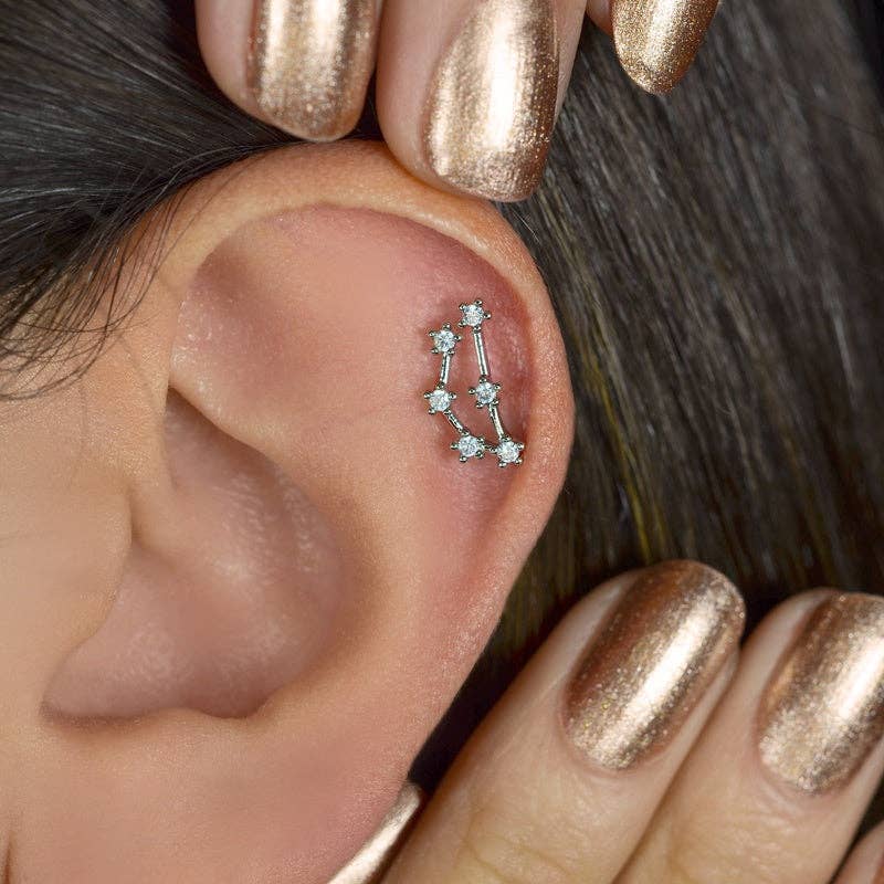 StockJWL - Wholesale Stud/Post Earrings - 12 Zodiac Earrings, Constellation Stud Earring Stud Piercing Tragus Helix Lobe and Cartilage Silver And Gold58