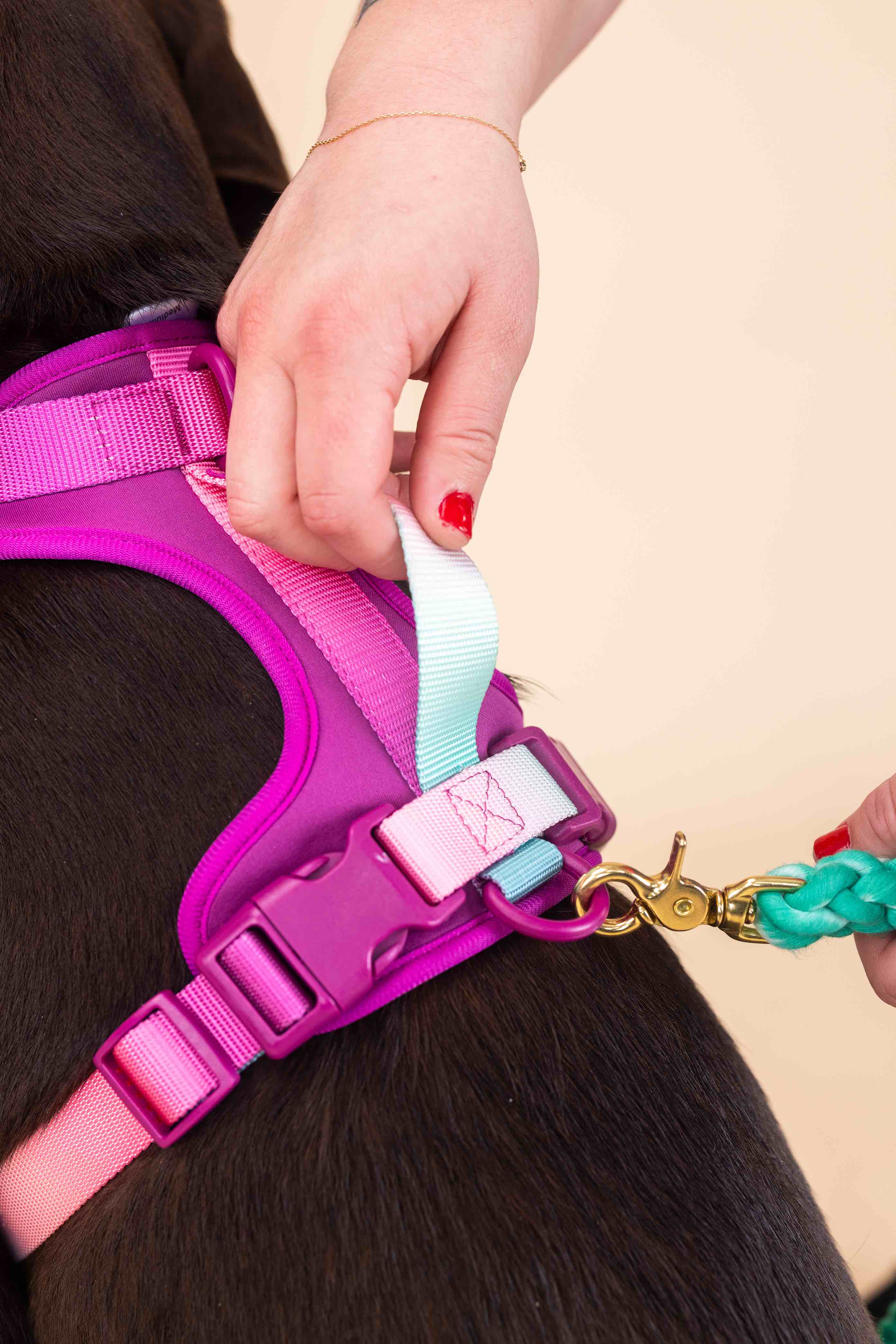 Pink Papyrus | Premium, Durable, & Stylish Dog Products - Wholesale Pet Harness - Dog - Joana Dog Harness | No Pull Dog Harness | Purple Dog Harness6