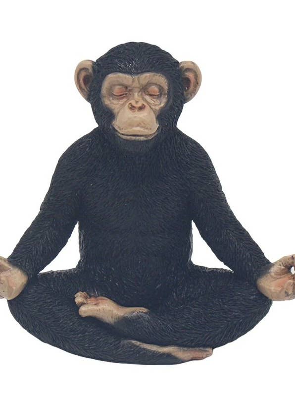 LP76837 - Yoga Busig Apa för wholesale av David Fischhoff Ltd