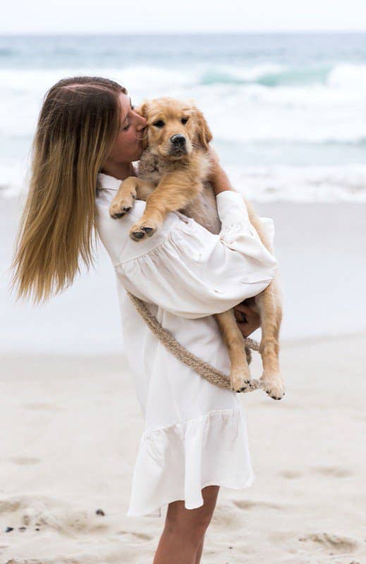 Studio Proud - Wholesale Pet Leash - Dog - Campbell - Teddy Light Dog Leash1