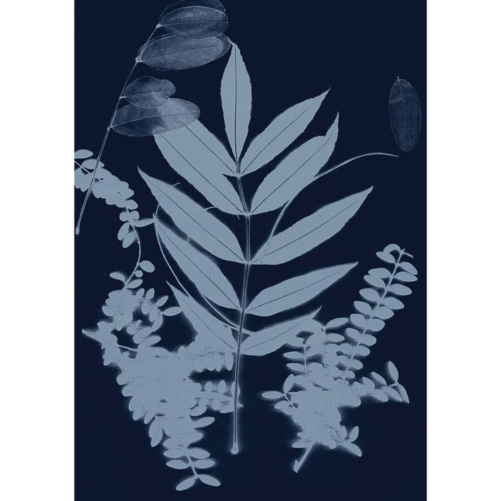 Cyano Foliage I - A6 folded Any Occasion card - SPRING CLEAN for wholesale by heraldblack