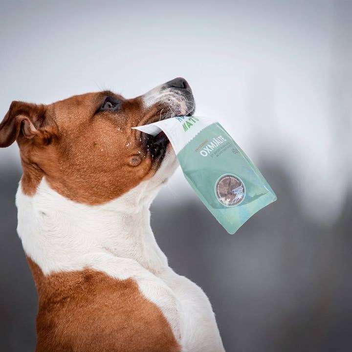 Sund Hundmat - Wholesale Pet Treats - Dog - Freeze-dried Ox Spleen 60g3